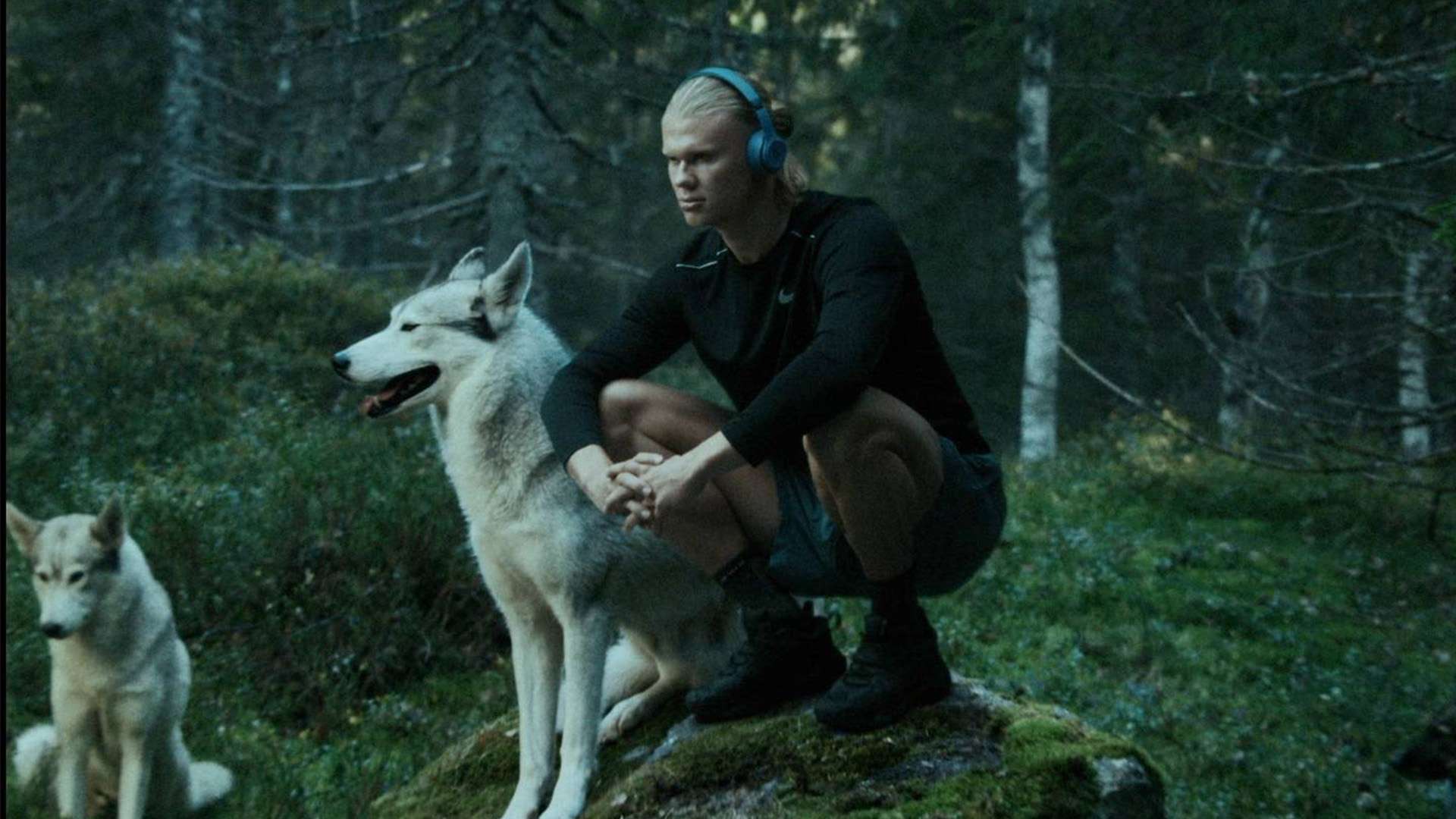 议并非一蹴 议并非一蹴