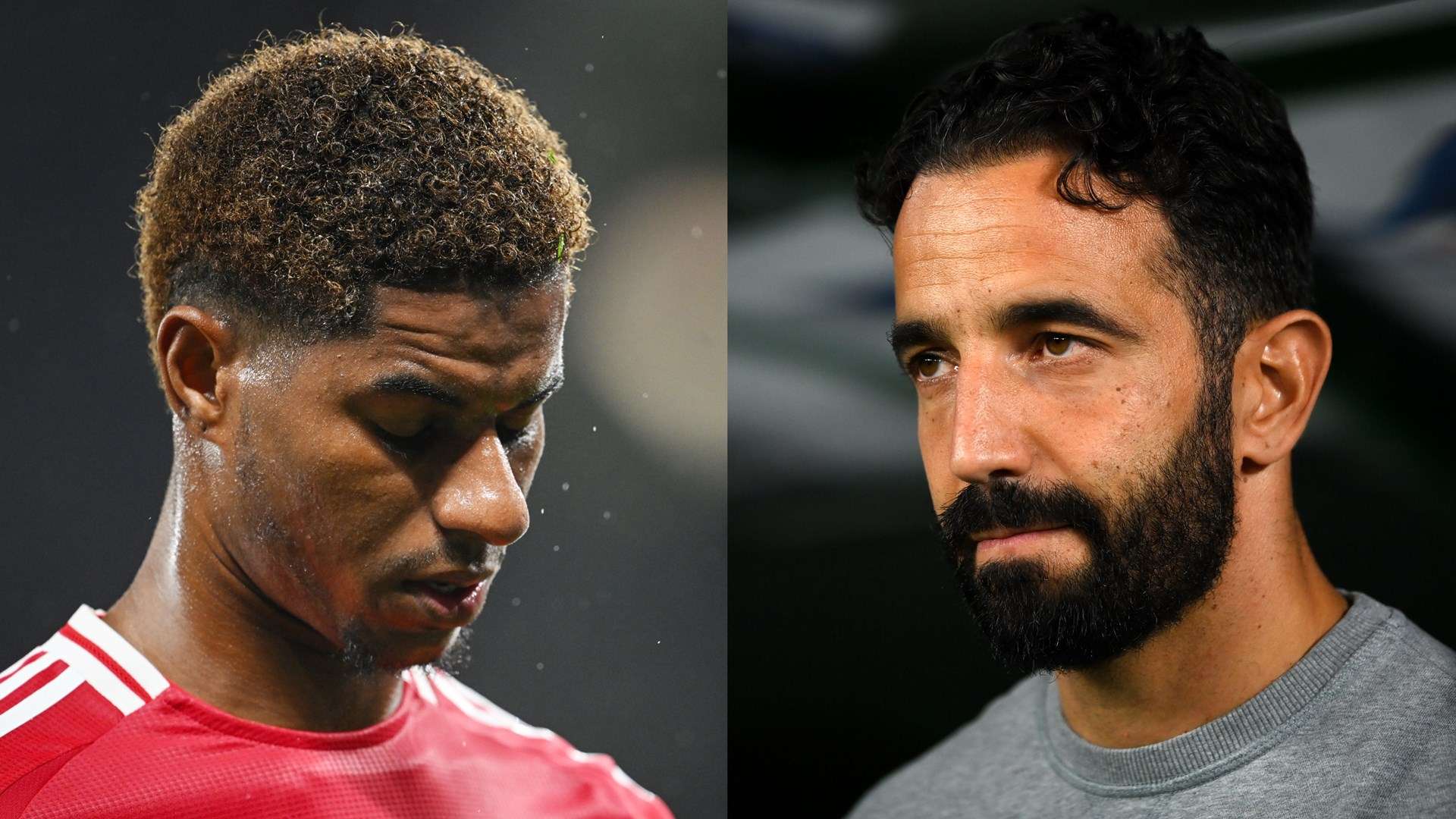 队球迷的座 队球迷的座