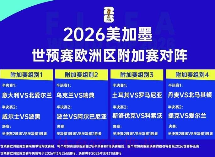 2026世界杯比分平台